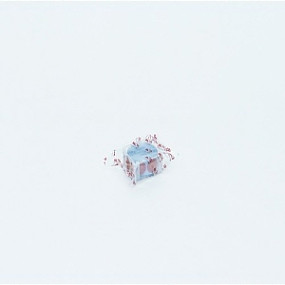 모아)모아랩밴드 20mm / 원형 / 살색 / 1개(100매)